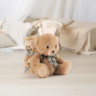 🎄✨ Vánoční kouzlo je v maličkostech, které vykouzlí úsměv. A co takhle spojit hebkou deku s roztomilým plyšákem? 🧸🐶🐱...